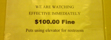 Different Sign Different Sign